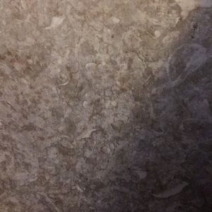 Meet your Posher, Evan